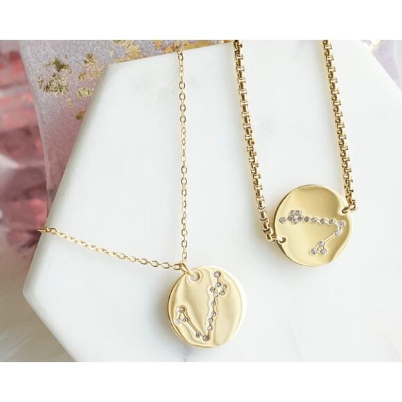 #47 Kinsley Armelle Zodiac 18K Gold Ion Pisces Necklace (Feb 19 - Mar 20) - Picture 2 of 2